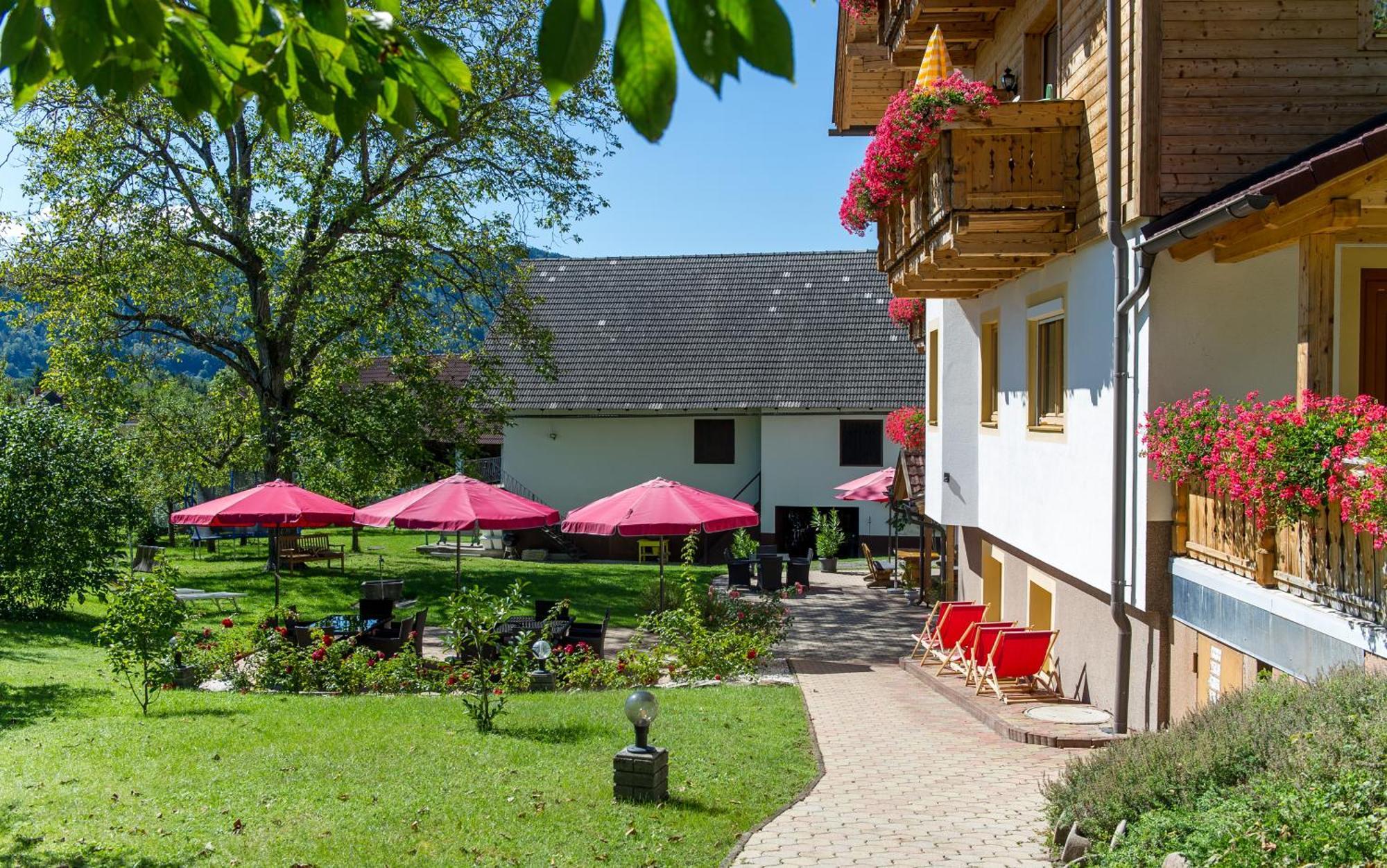 Appartement Allmaier *